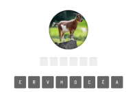 Animal Quiz img