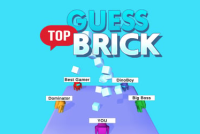 Guess Top Brick img