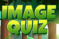 Image Quiz img