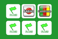 Memory Flags img