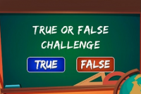 True or False Challenge img